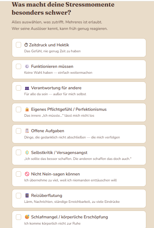 Beispiel-Frage aus der Mama-Powerbank: Was macht deine Stressmomente besonders schwer?