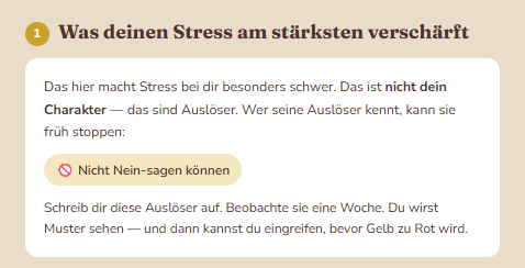 Deine persönlichen Energie-Räuber: Was deinen Stress am stärksten verschärft
